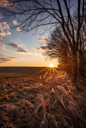 Z obce - fotografie Radek &Scaron;ubert 6. 3. 2021
